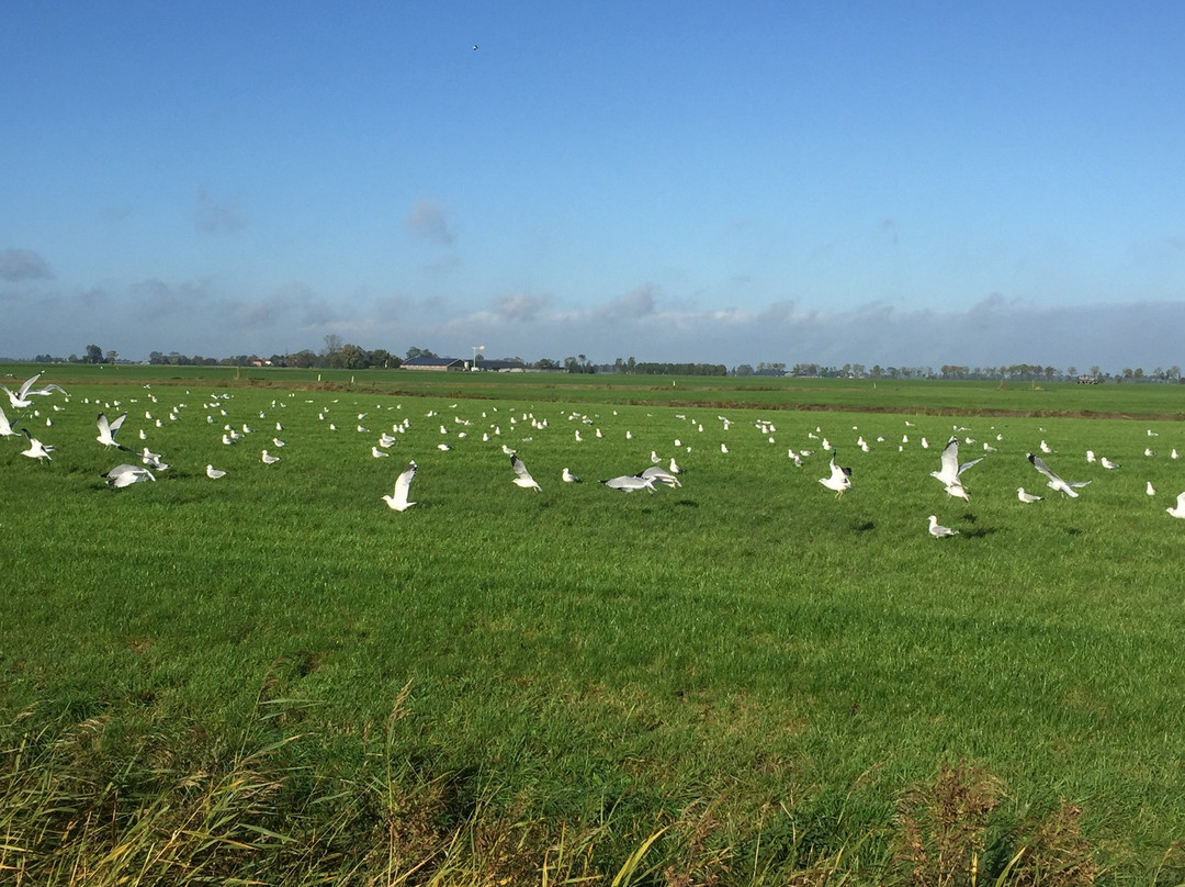 Niehove旅游攻略图片