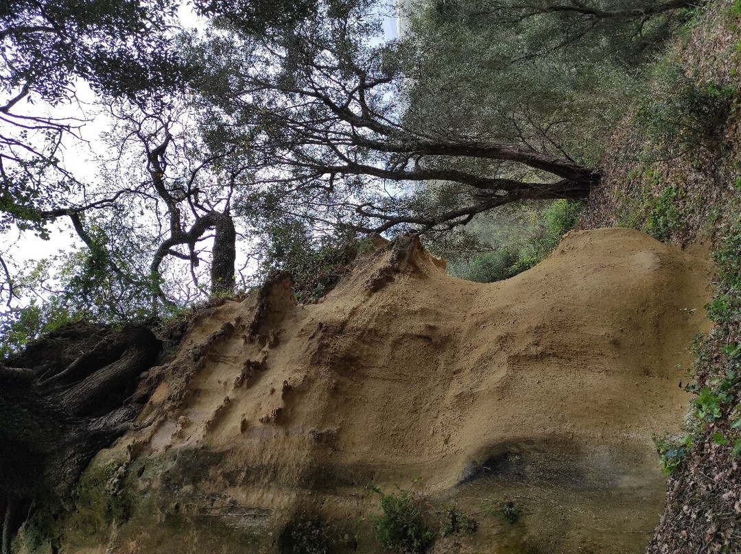 Grotta Di Sant'Elia Speleota景点图片