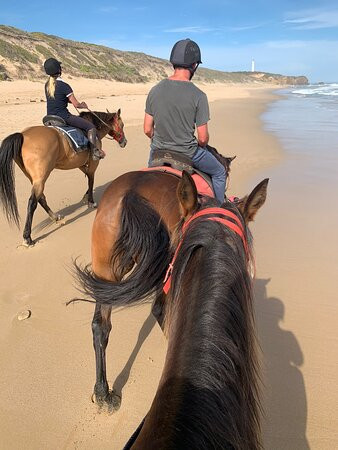 Blazing Saddles-Aireys Inlet必去景点