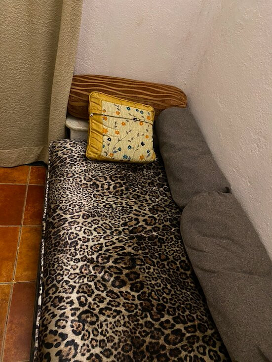 Tuli Tiger Resort主图