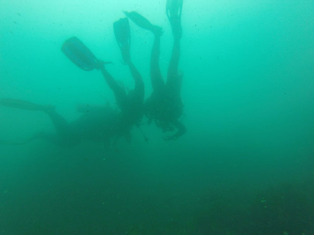 Native Diving-Puerto Lopez必去景点