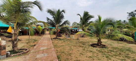 Tropical Cabanas主图