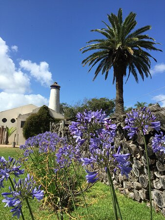 Hotel Parque Oceanico主图