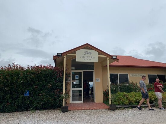 Vinifera Wines-马奇必去景点