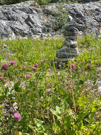 Rock Garden景点图片