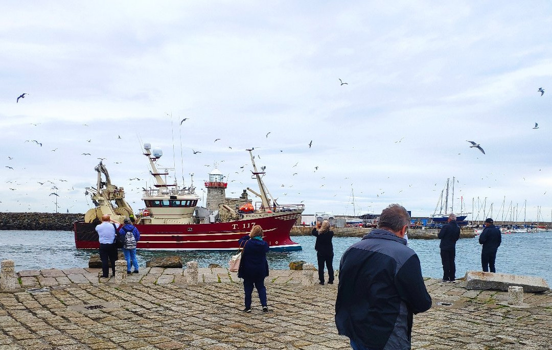 Leinster Taxi-都柏林必去景点