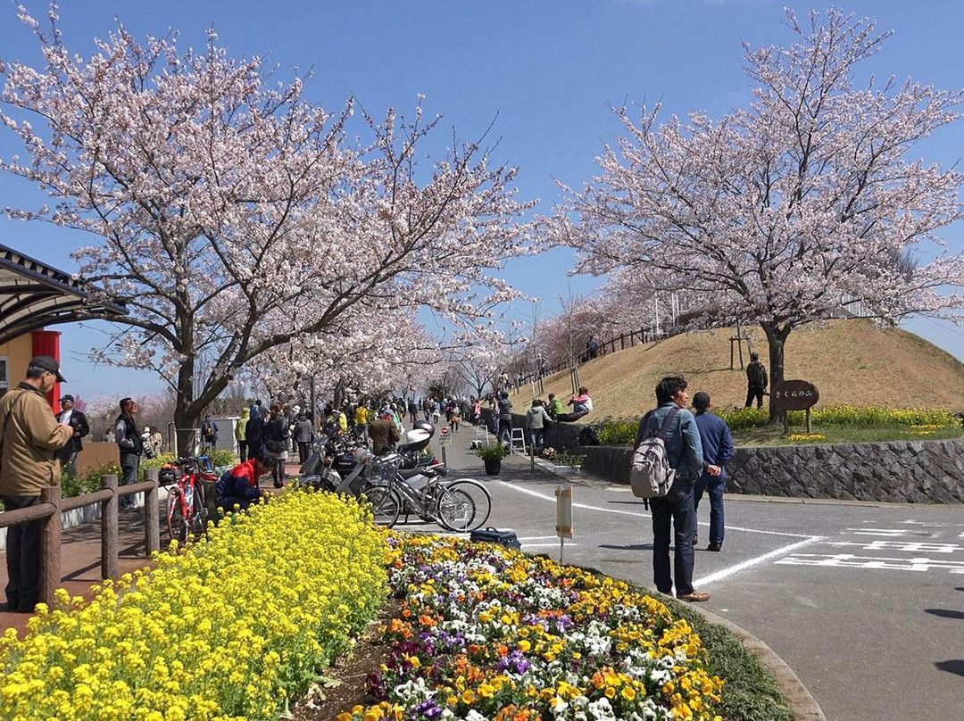 Sakura no yama Park景点图片