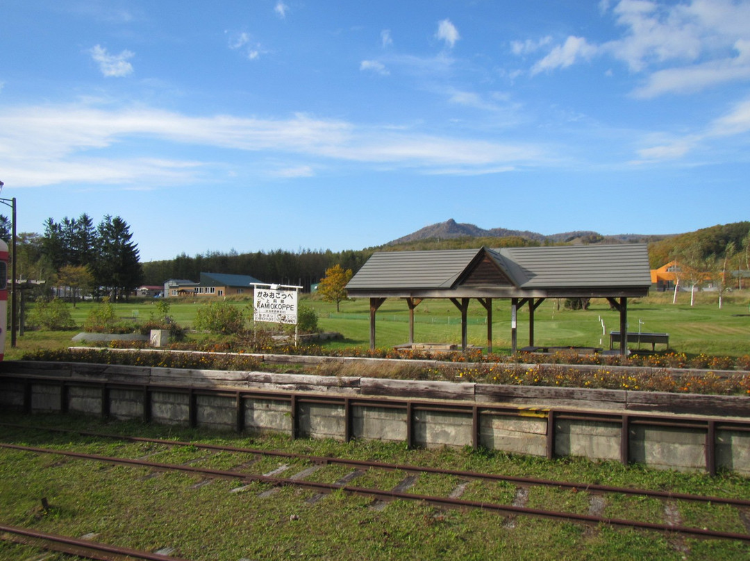 Kamiokoppe Railway Museum景点图片