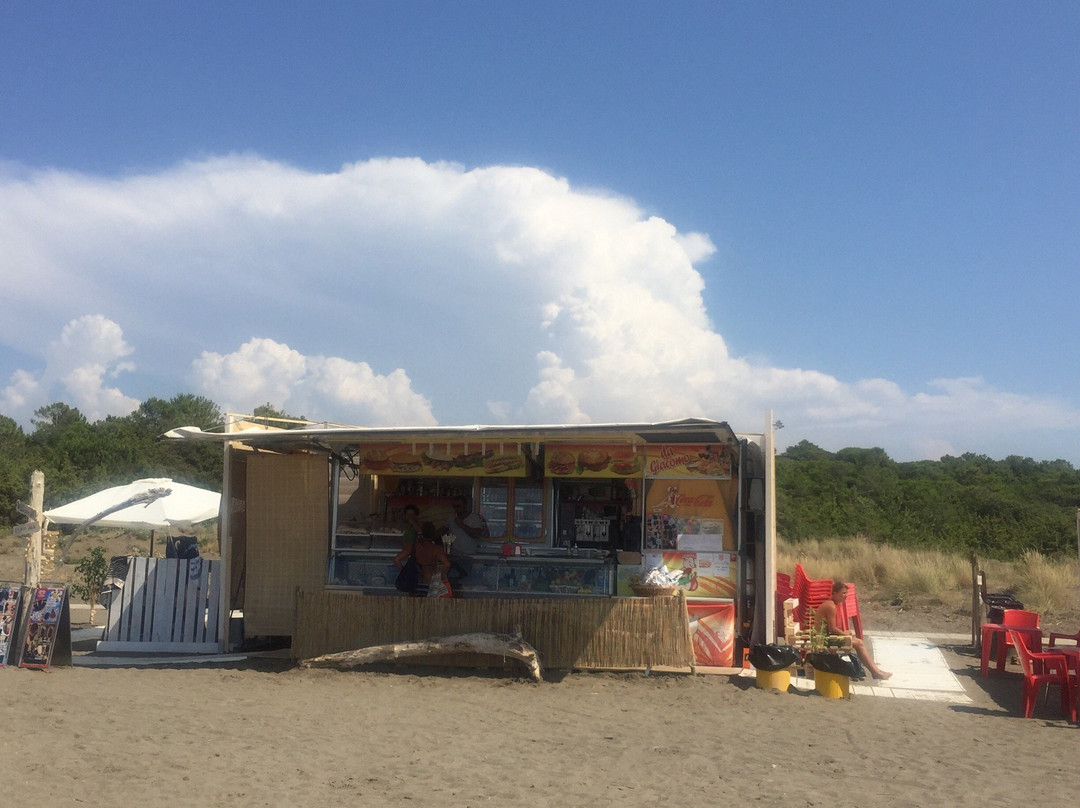Wild Beach Bar