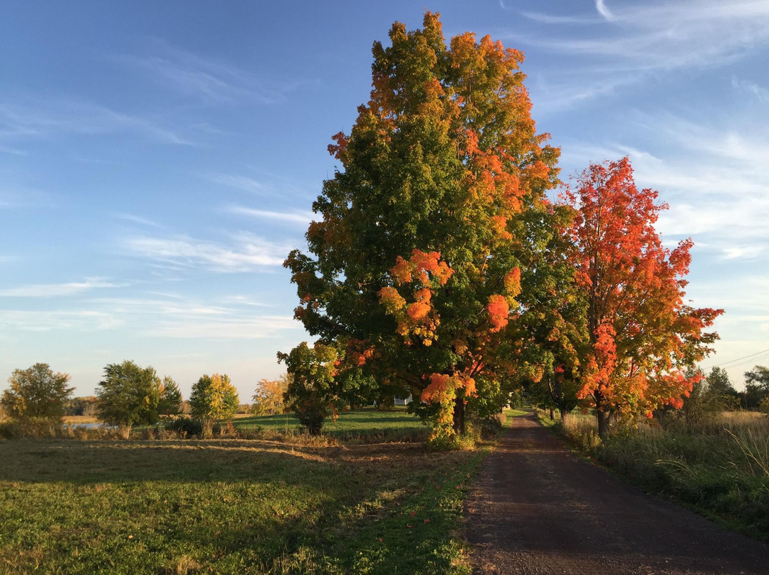 Gagetown旅游攻略图片