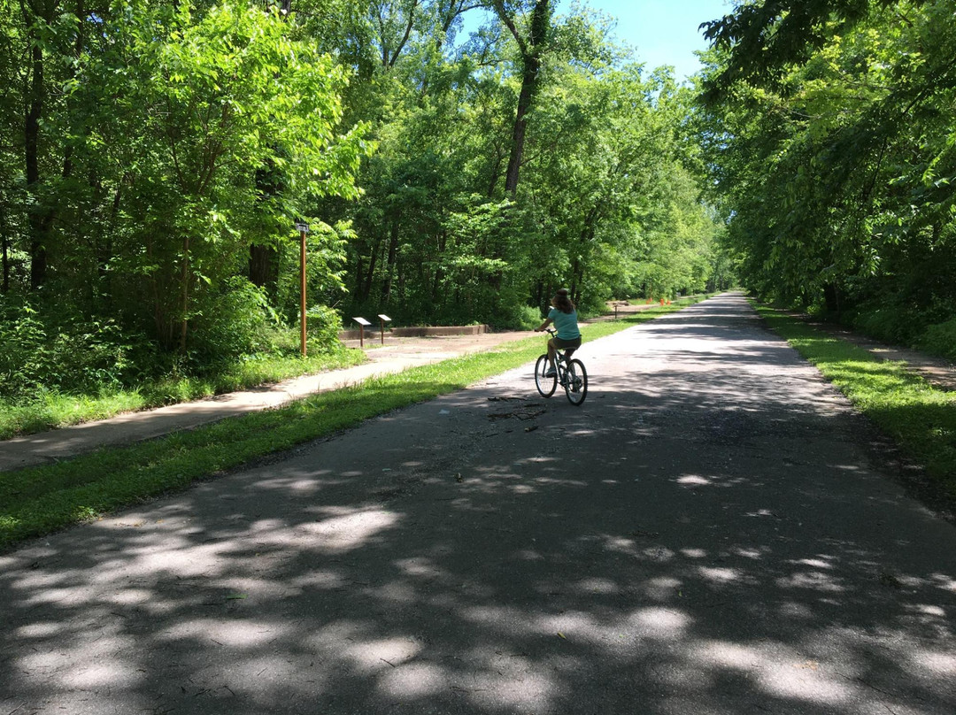 Greenville旅游攻略图片