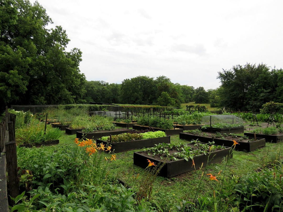 Lawson旅游攻略图片