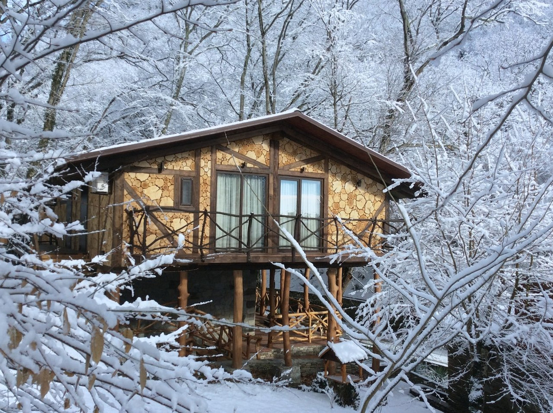 Betta酒店住宿-Pension Alpha