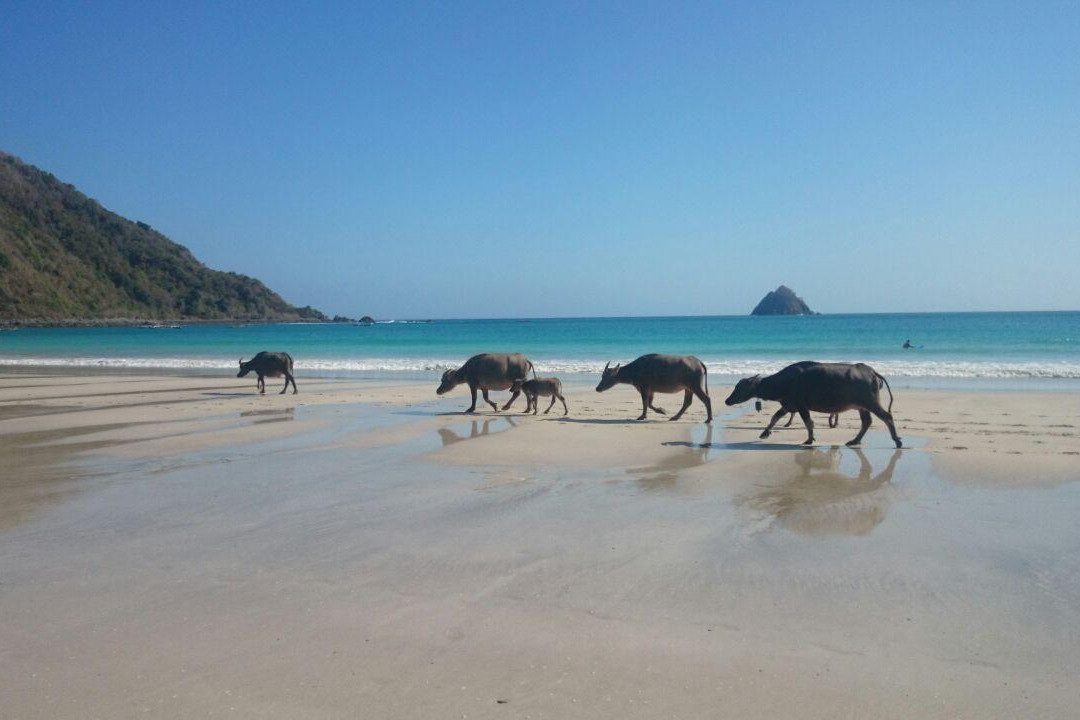 龙目岛真实之旅-Senggigi必去景点