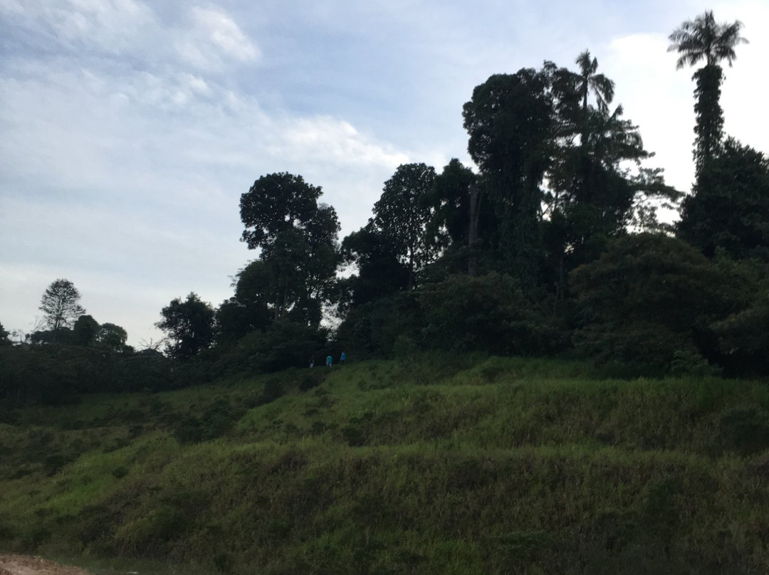 Setia Alam Community Trail景点图片
