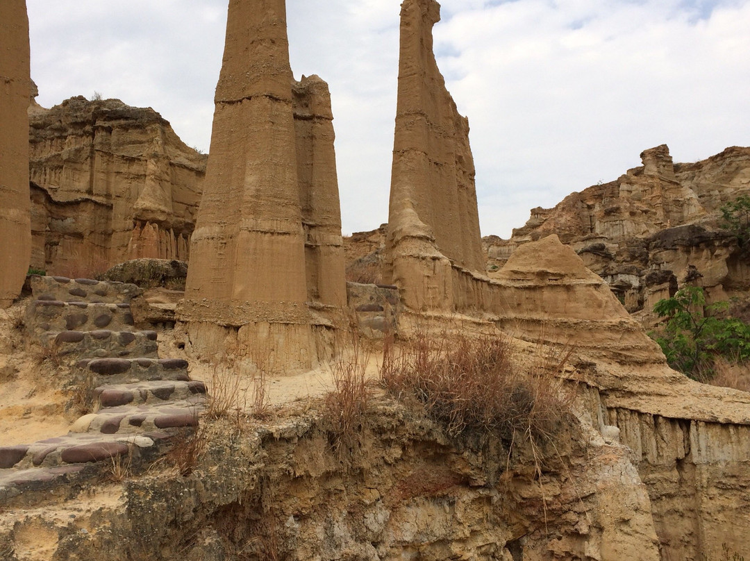 物茂土林-元谋县必去景点