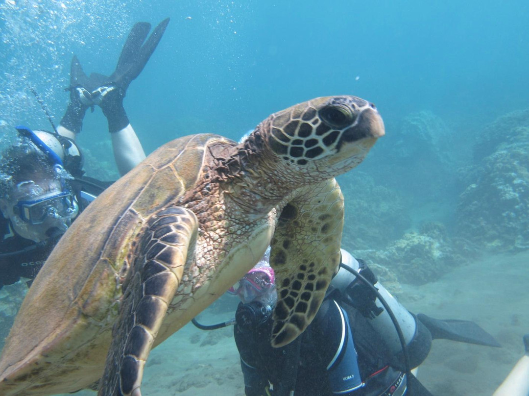 5 Star Scuba