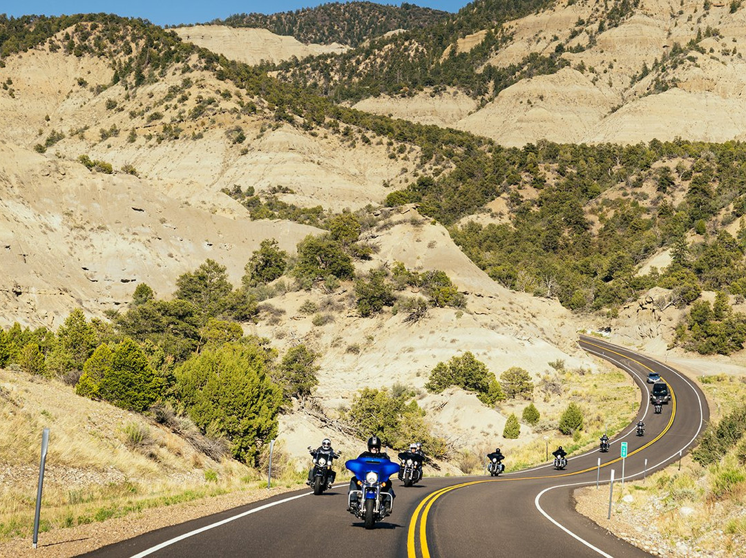 Eaglerider Rentals & Tours景点图片