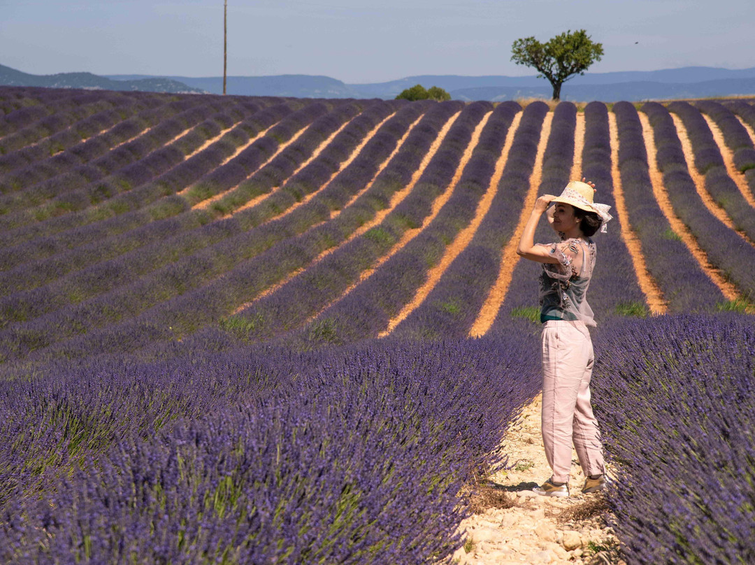 NA PROVENCE景点图片