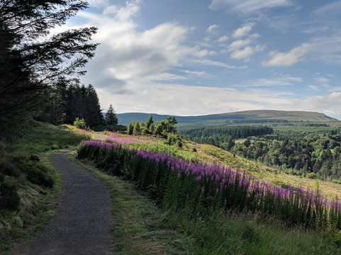 The Inside Trek-贝尔法斯特必去景点