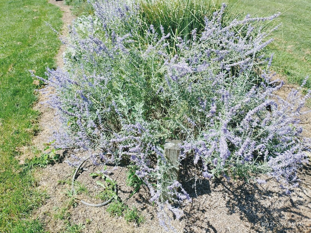 Monroeville Community Park West