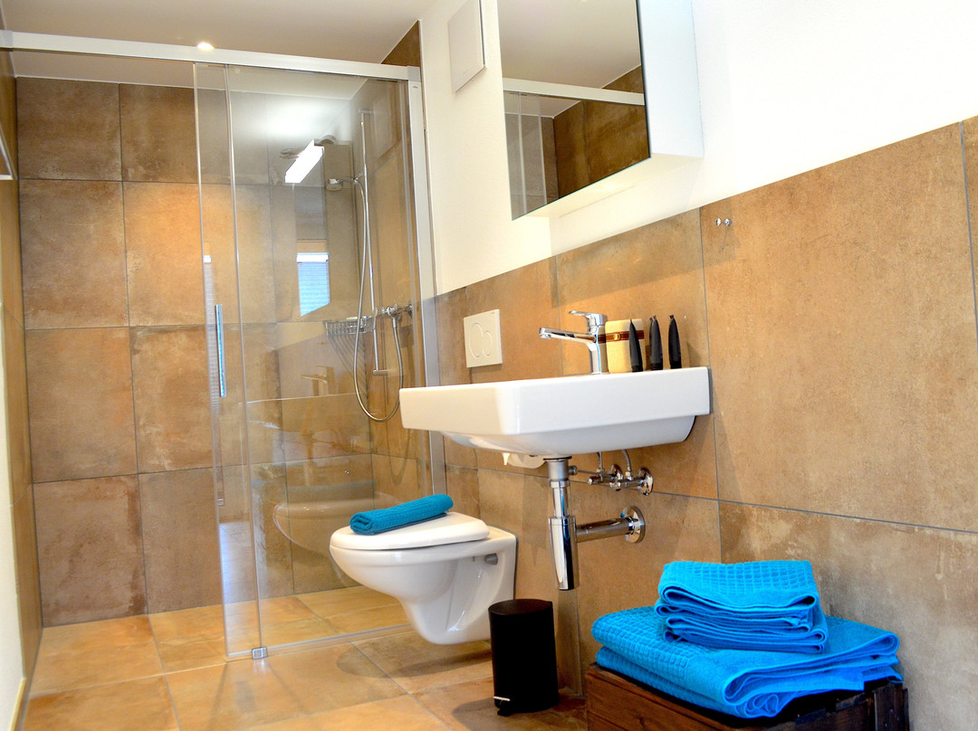 Guesthouse Meitschi Thun - contactless self check-in主图