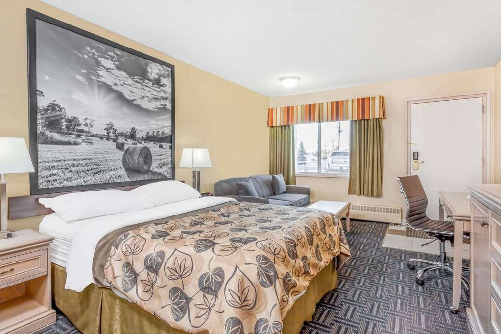 Super 8 by Wyndham Stettler主图