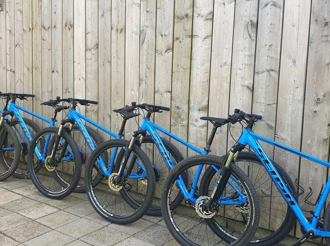 Fun4family Fietsverhuur景点图片