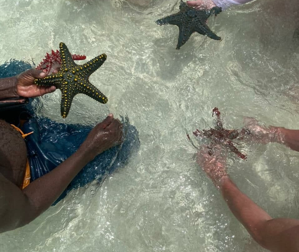 Villa Dida Resort Zanzibar主图