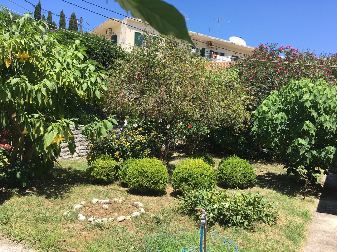 Church of the Panayia Kassopitra-Kassiopi必去景点