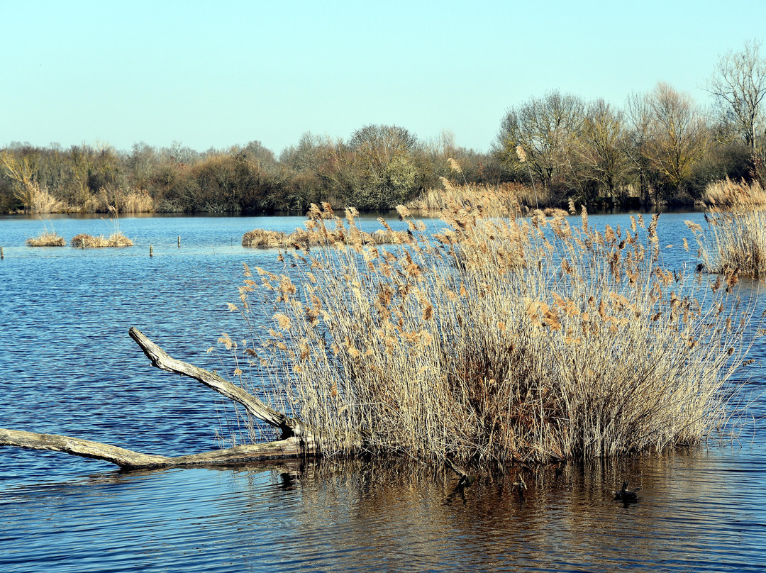 Etangs de la Brenne-Saint Michel en Brenne必去景点