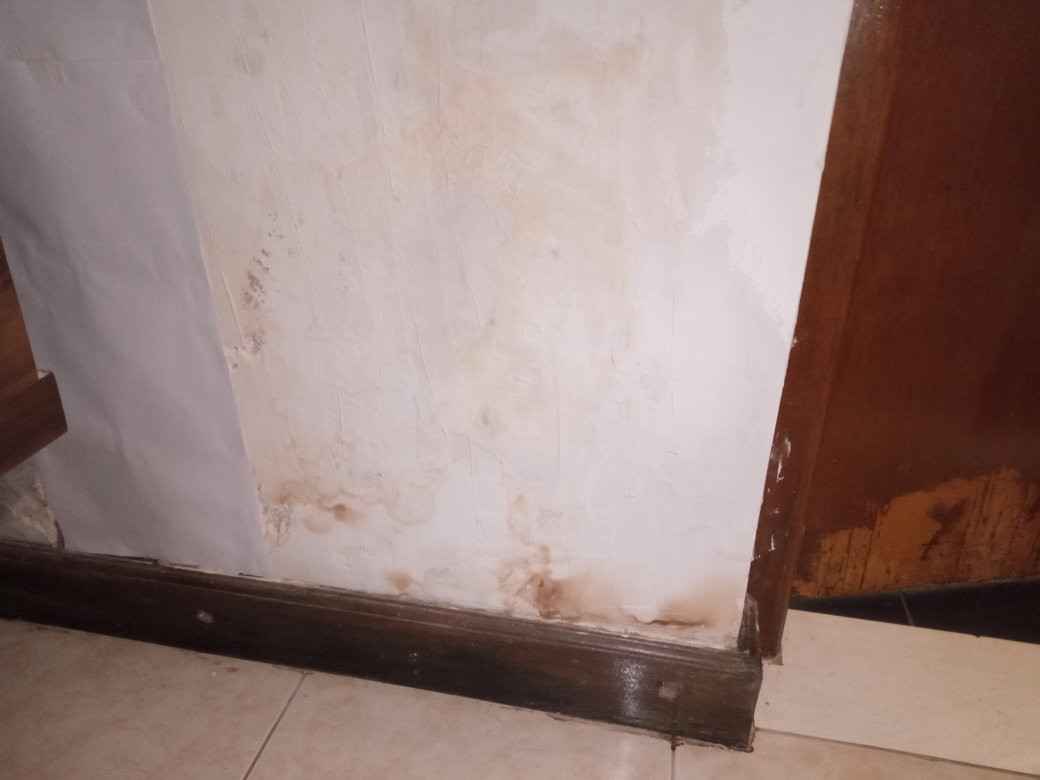 Silvikris Villas主图