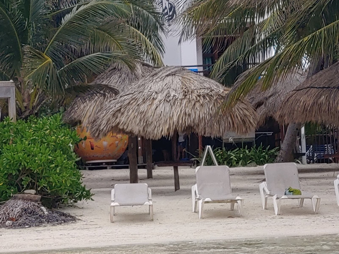 Hotel El Caballo Blanco主图