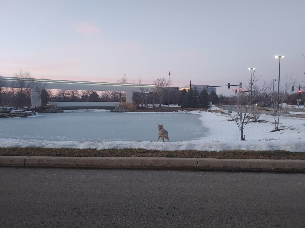 Renaissance Schaumburg Convention Center Hotel主图