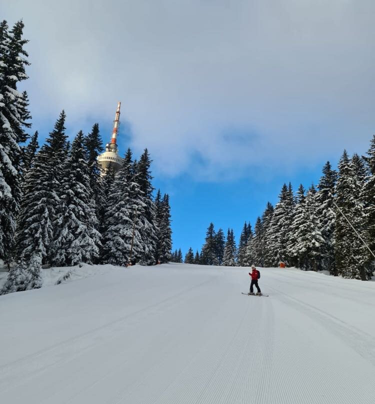 reSTART zona 82 SKI & SNOWBOARD SCHOOL-帕泊洛沃必去景点