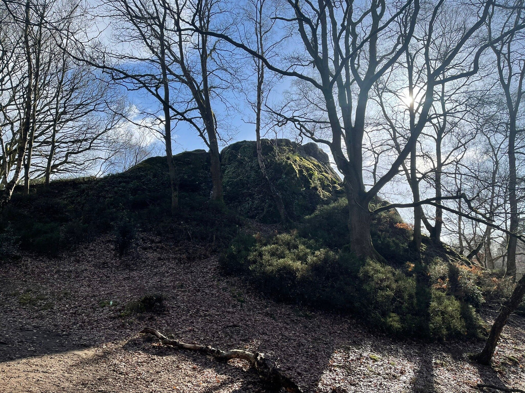 Habberley Valley Local Nature Reserve景点图片