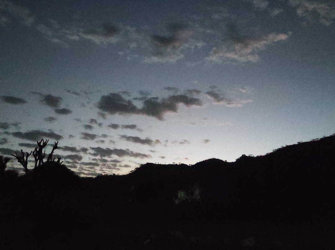 The Rukmani Bagh主图