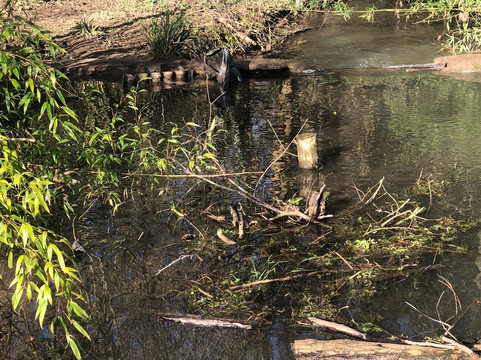 Evenley Wood Garden-Evenley必去景点