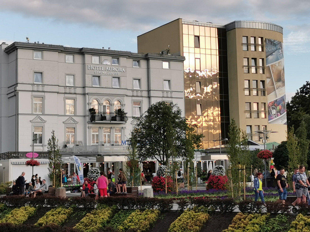 Hotel Aurora Family & SPA主图