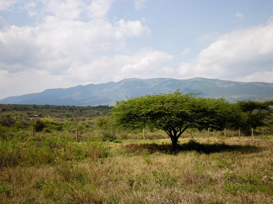 Mala Mala Campsite-恩贡必去景点