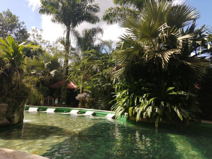 Paradise Hot Springs景点图片