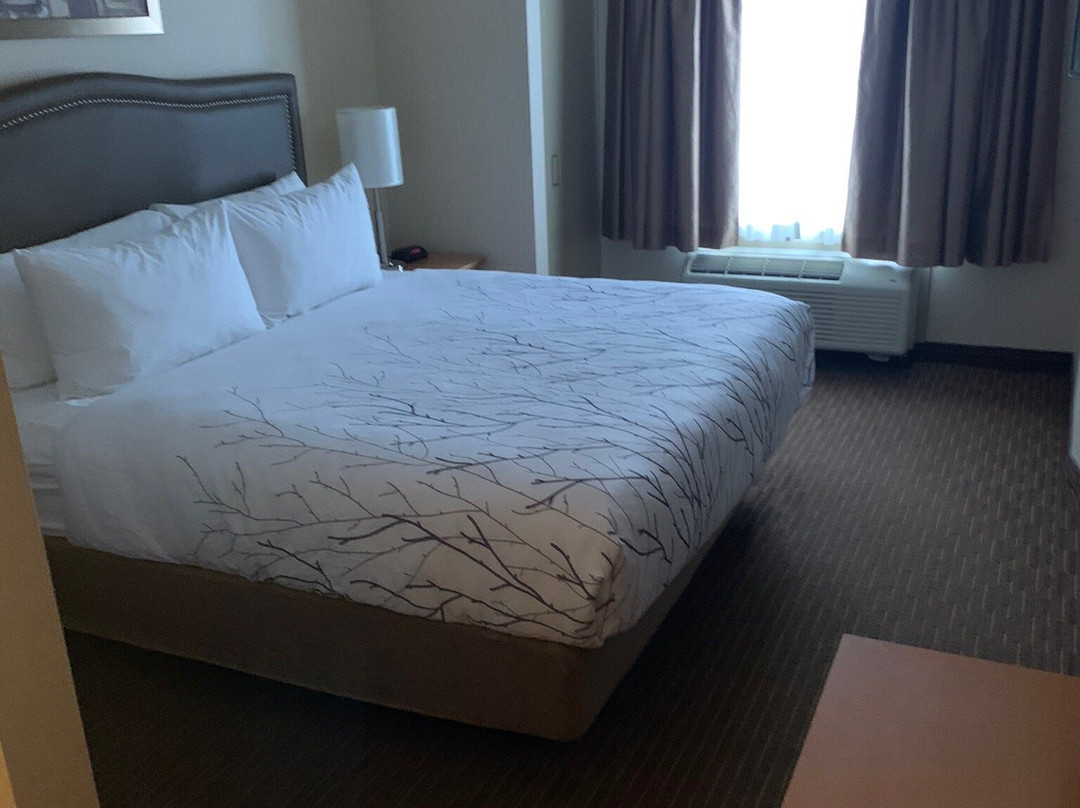 Waterloo Suites Hotel主图