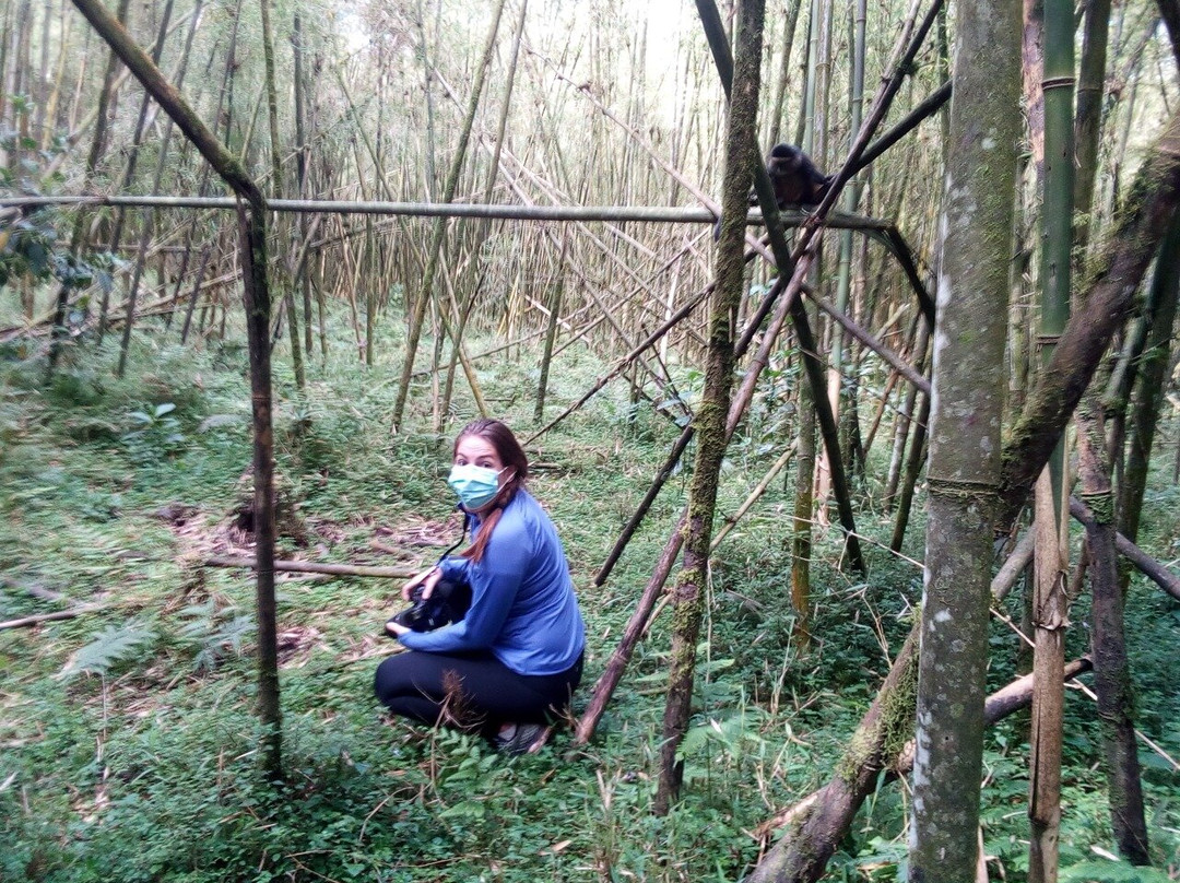 Wild Hikes Rwanda-吉佳利必去景点