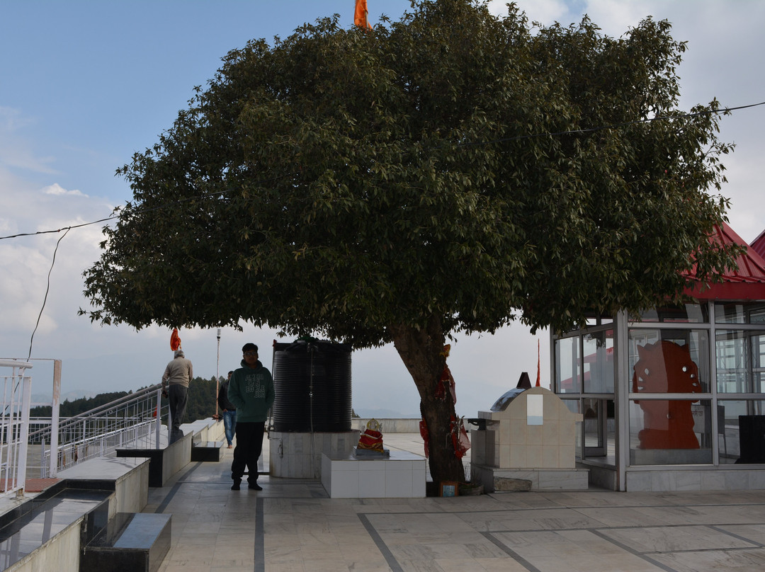 Kali Ka Tibba-Kandaghat必去景点