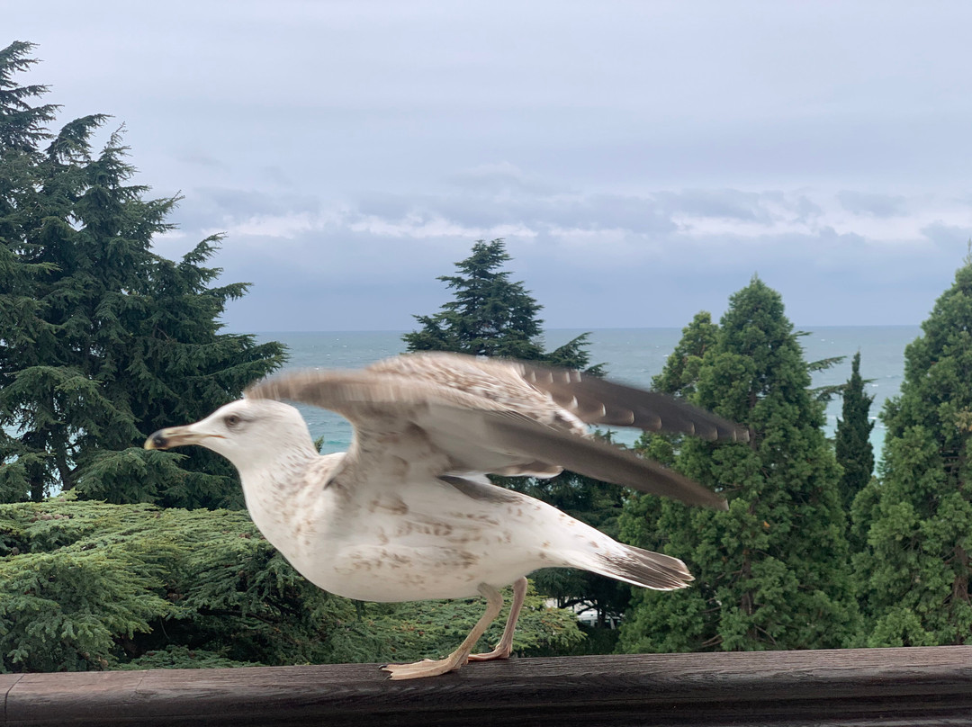 Oreanda Premier Hotel主图