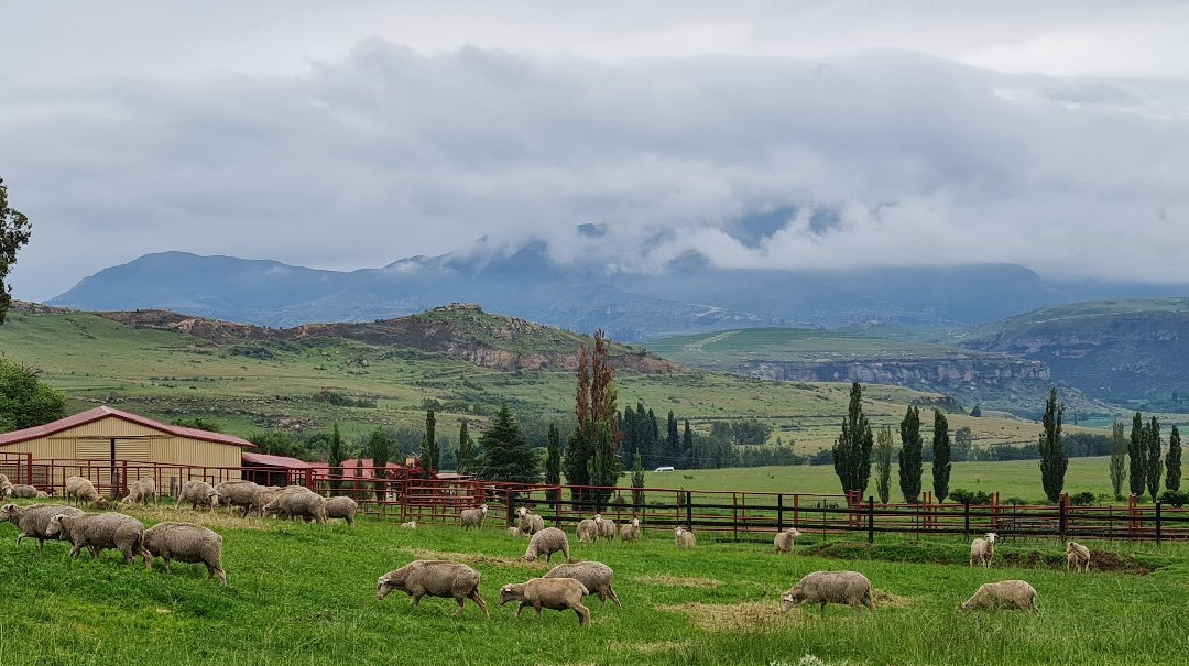 Oranje Guest Farm主图