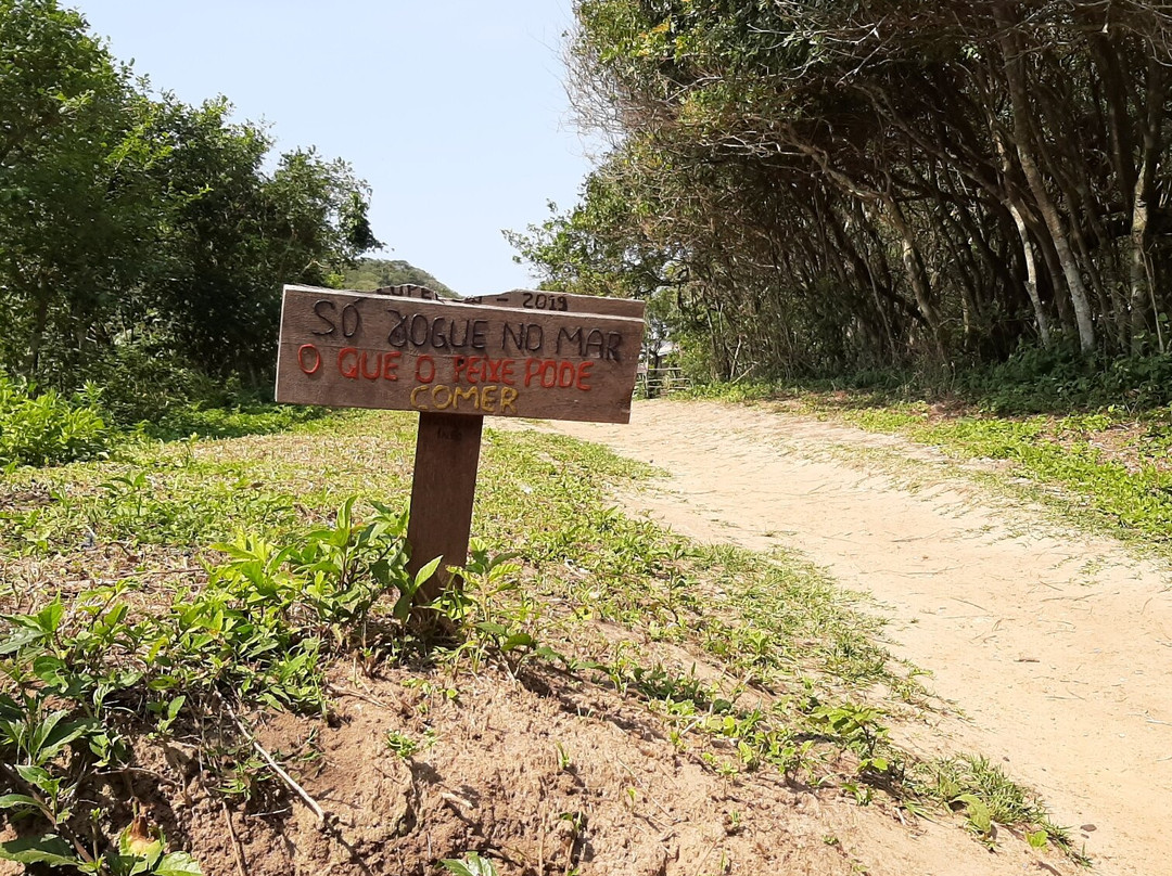 Naufragados Beach-弗洛里亚诺波利斯必去景点