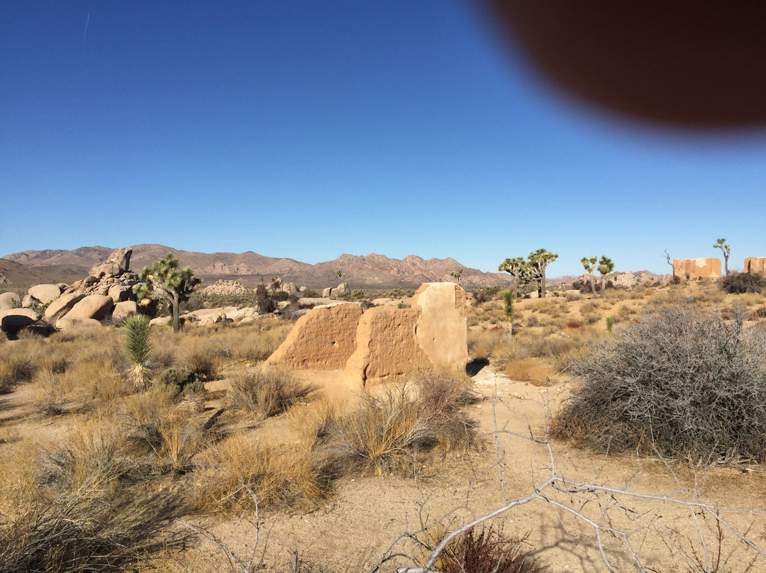 Ryan Ranch Homestead Site-约书亚树国家公园必去景点