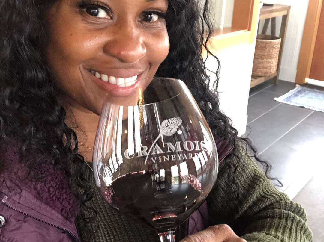 Tesla Custom Winery Tours景点图片