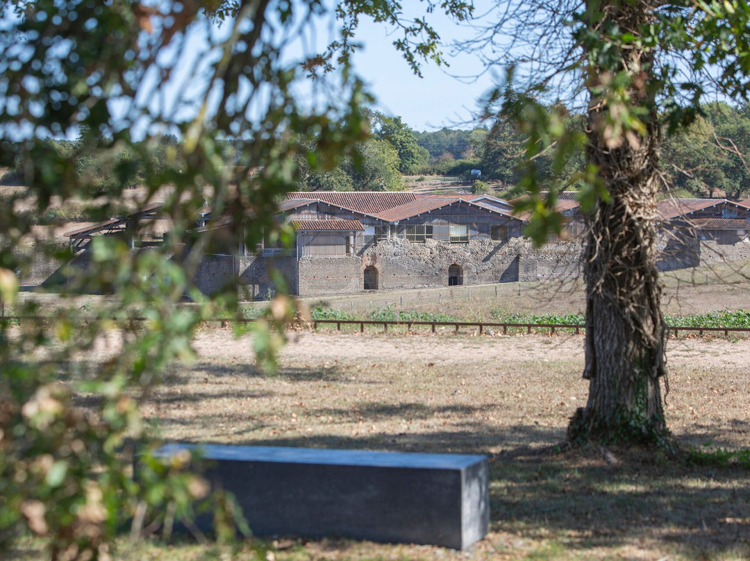 Cassinomagus - parc archéologique景点图片